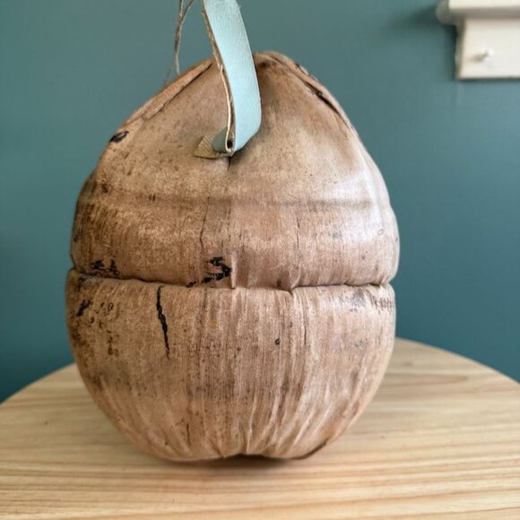 Vintage 60's Hawaiian Pirate Hanging Coconut Head w Shell Earrings Eyes Tiki - Picture 6 of 10